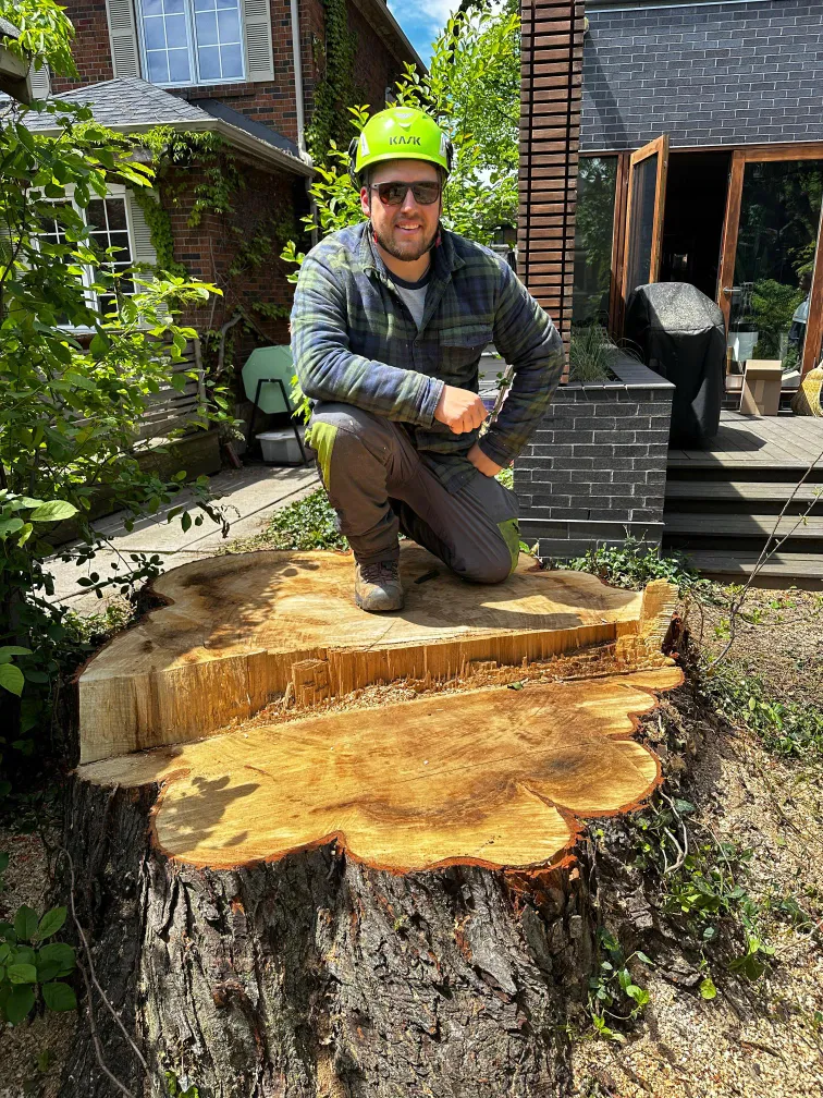 Upanoak arborist beside a large freshly cut tree stump in a Durham Region backyard