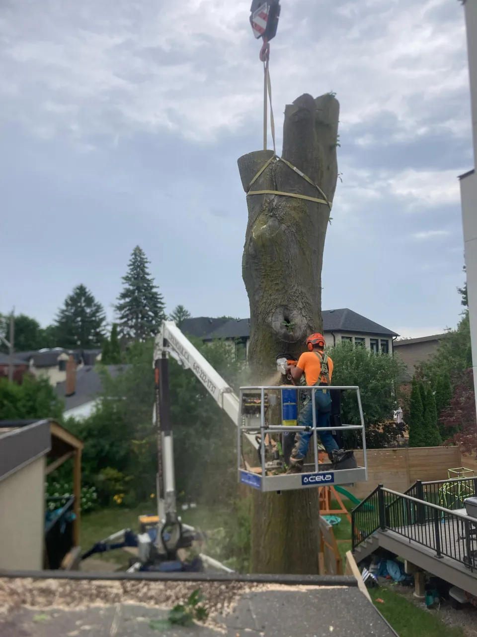 Spider lift and rigging removing a large trunk section from a backyard in Ajax