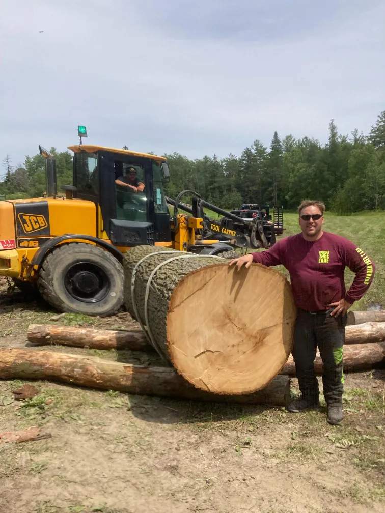 Crew member beside a milled hardwood log after a large tree removal