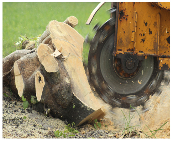 stump grinding