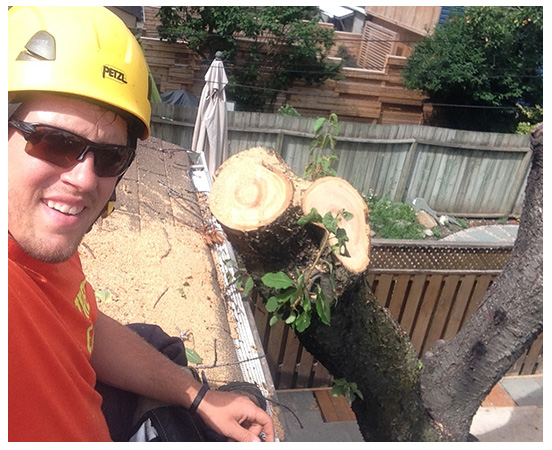 experience and a passion for tree care