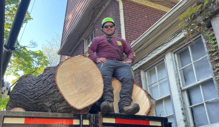 Best tree Removal Oshawa