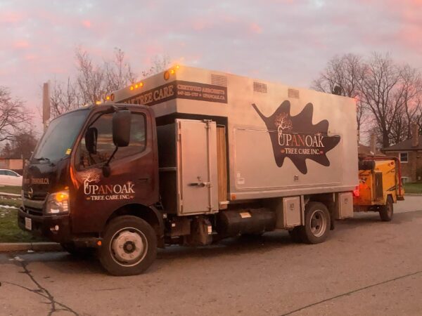 Tree Trimming pickering
