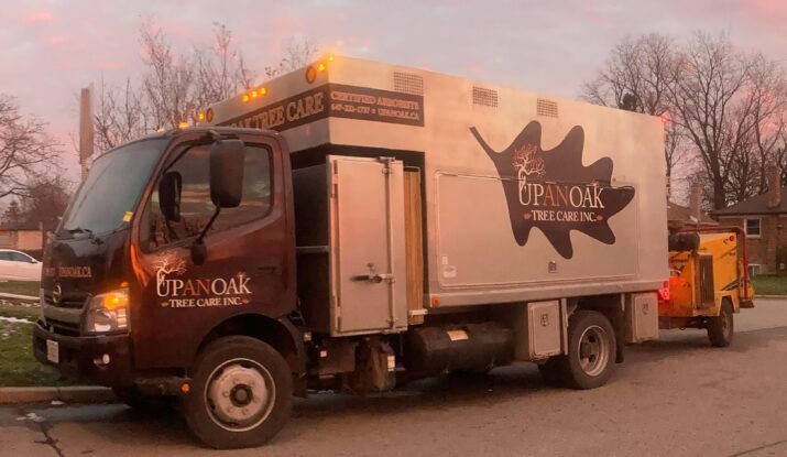 Tree Trimming pickering