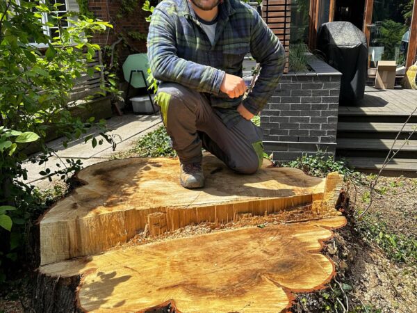 Tree cutting services