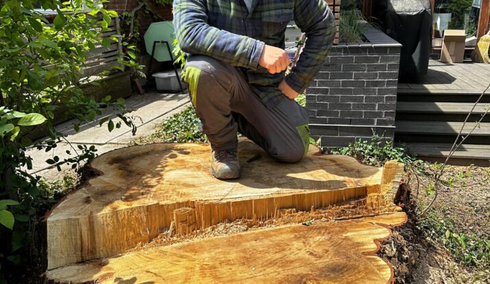 Tree cutting services