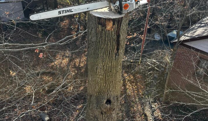 Tree pruning Ajax